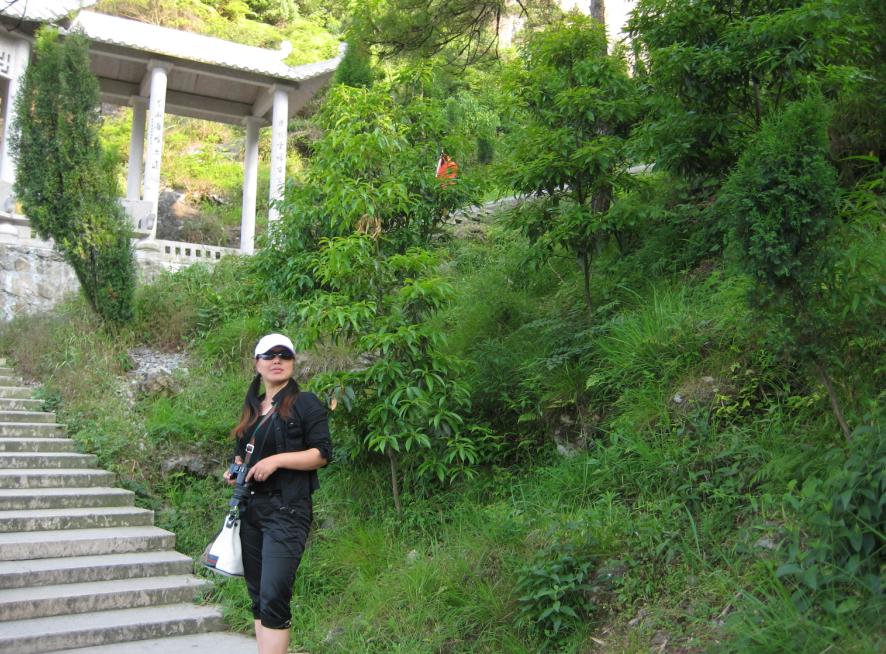 乐清市“中雁杯”登山比赛掠影 乐清市“中雁杯”登山比赛掠影