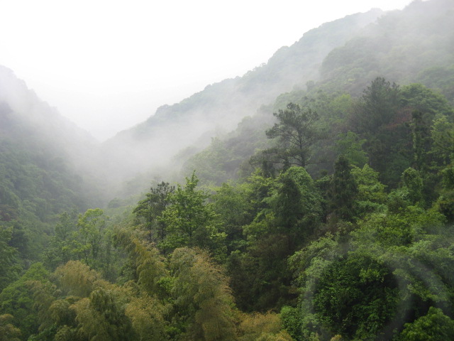 我驴我乐山水间