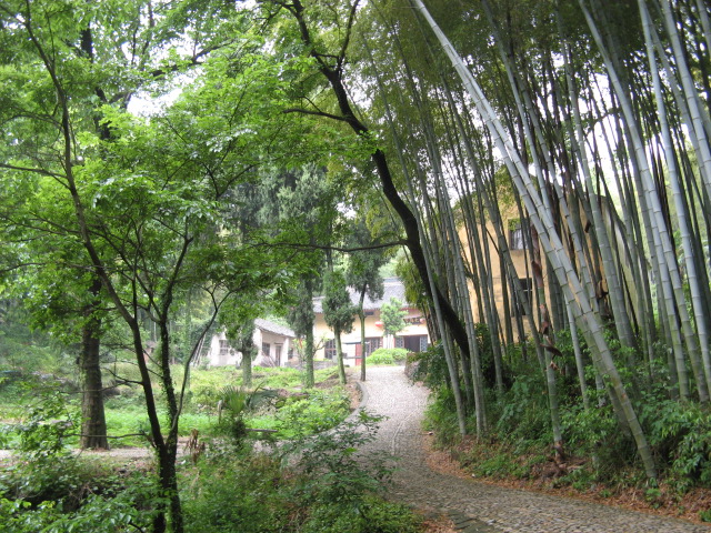 我驴我乐山水间