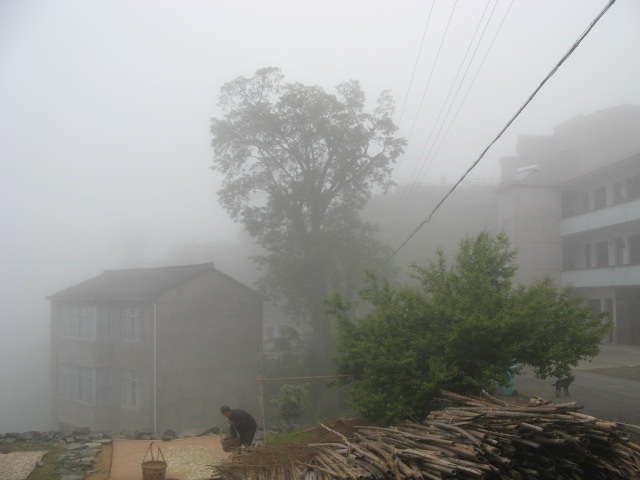 我驴我乐山水间