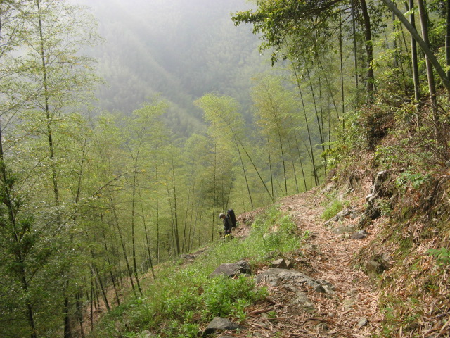 我驴我乐山水间