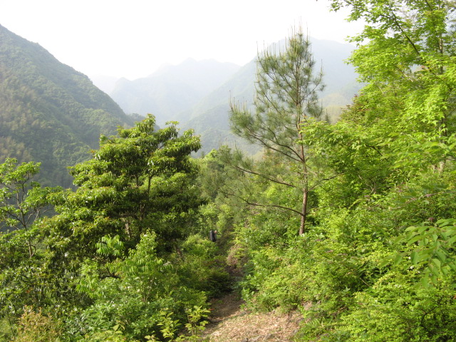 我驴我乐山水间