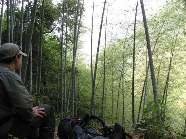 我驴我乐山水间