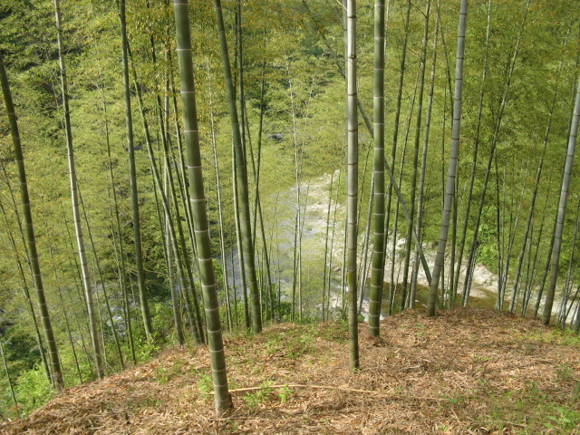 我驴我乐山水间