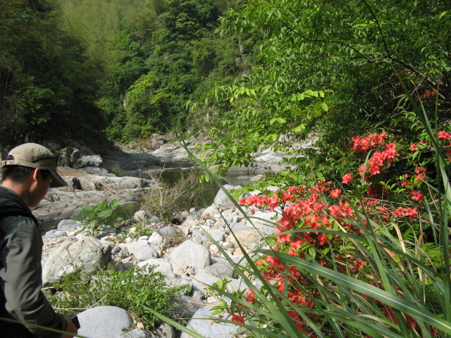 我驴我乐山水间