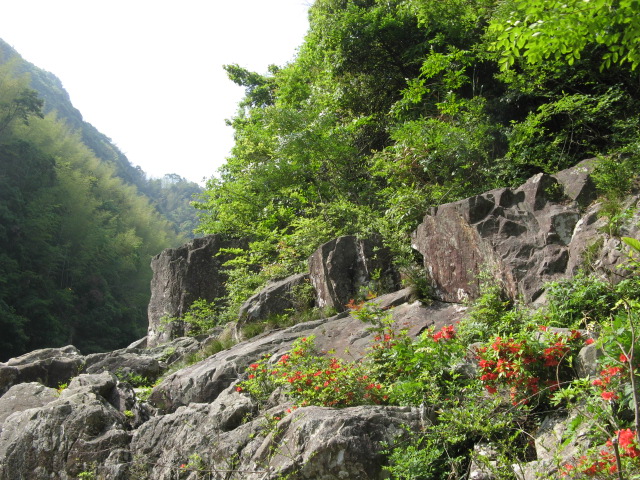 我驴我乐山水间