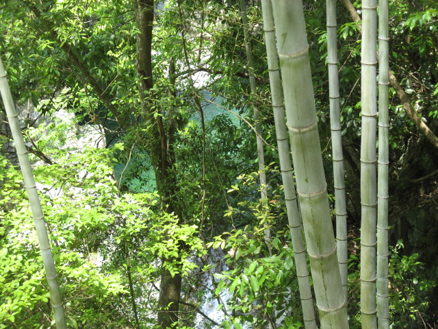 我驴我乐山水间