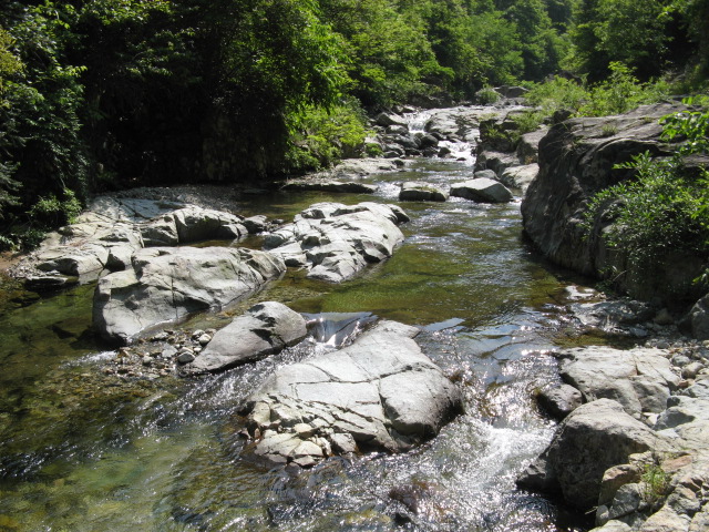 我驴我乐山水间