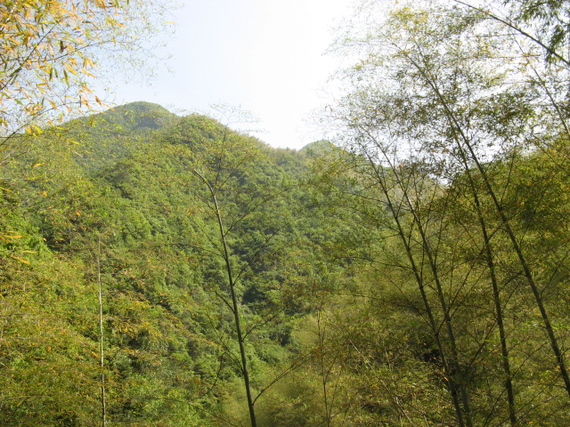 我驴我乐山水间