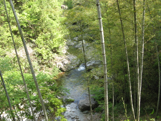 我驴我乐山水间