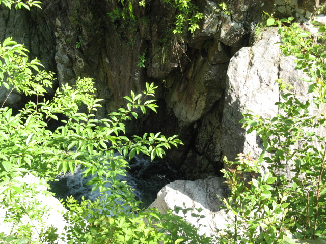 我驴我乐山水间