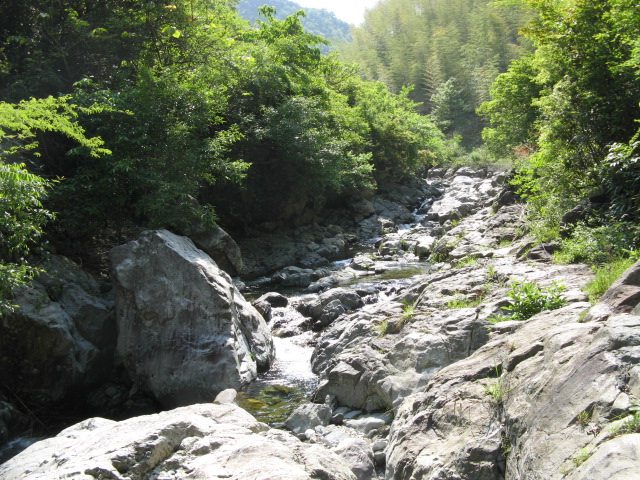 我驴我乐山水间