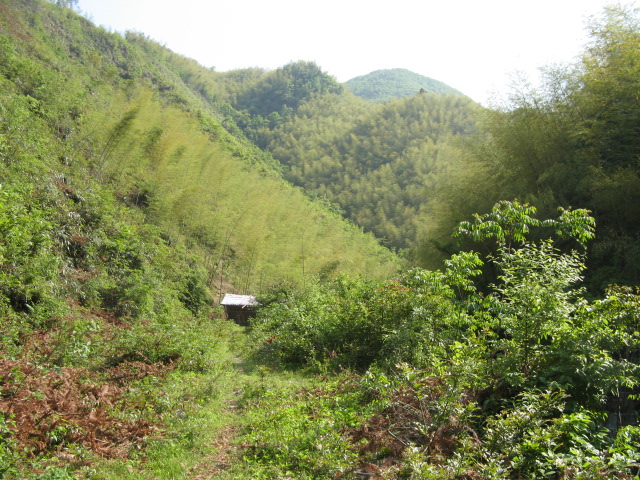 我驴我乐山水间