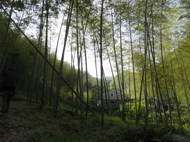 我驴我乐山水间