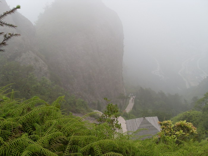 乐清市“中雁杯”登山比赛掠影