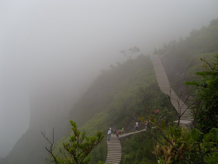 乐清市“中雁杯”登山比赛掠影