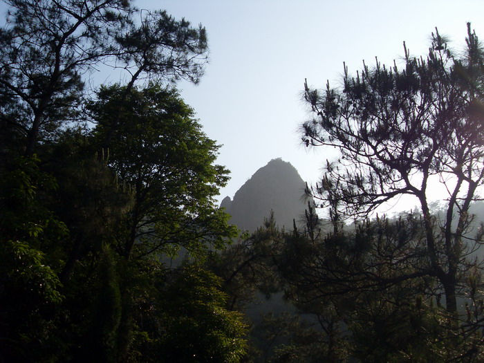 乐清市“中雁杯”登山比赛掠影