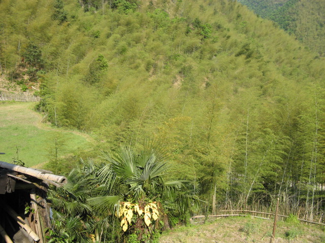 我驴我乐山水间