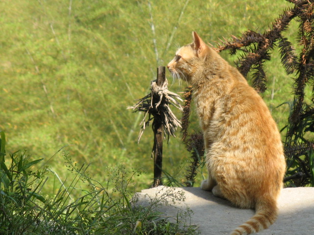 我驴我乐山水间