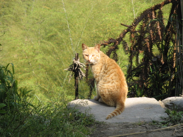 我驴我乐山水间