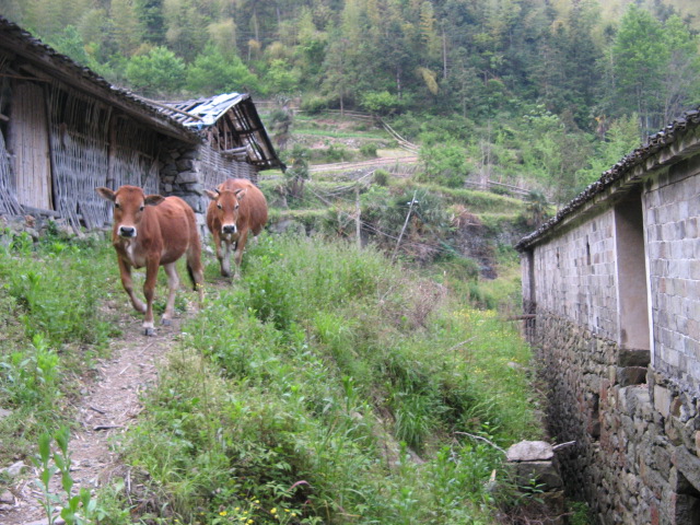 我驴我乐山水间