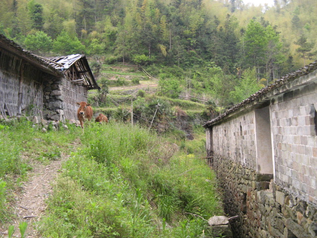 我驴我乐山水间