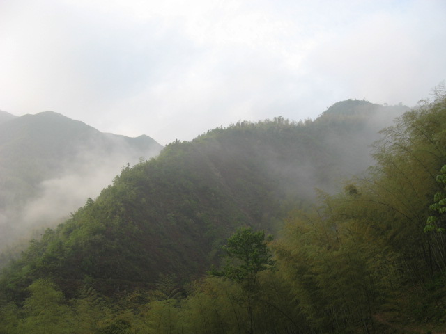 我驴我乐山水间