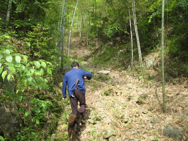 我驴我乐山水间