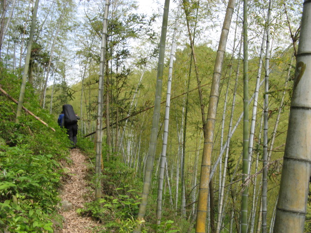 我驴我乐山水间