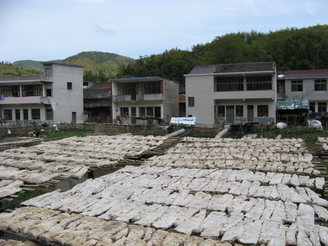 我驴我乐山水间