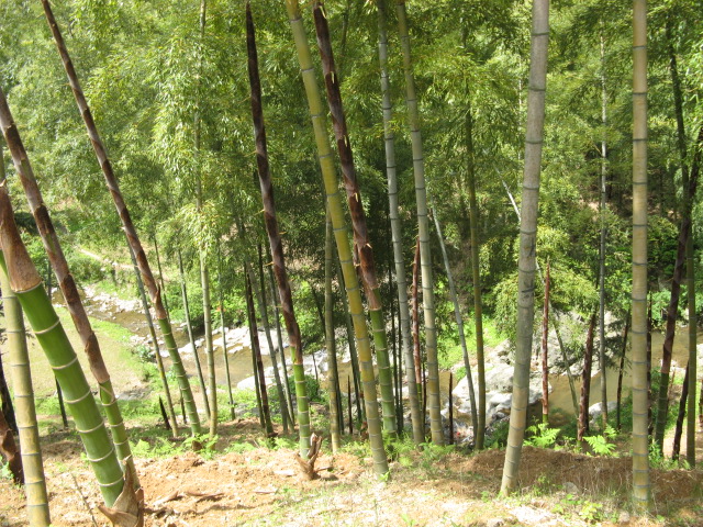 我驴我乐山水间