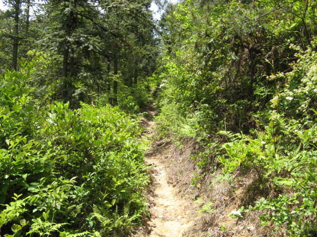 我驴我乐山水间