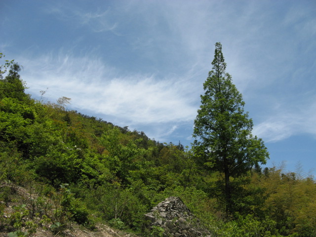 我驴我乐山水间