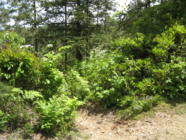 我驴我乐山水间