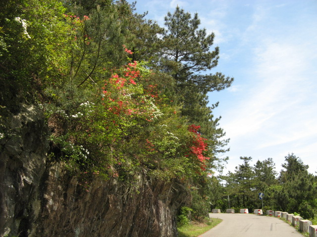 我驴我乐山水间
