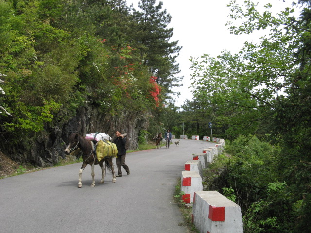 我驴我乐山水间