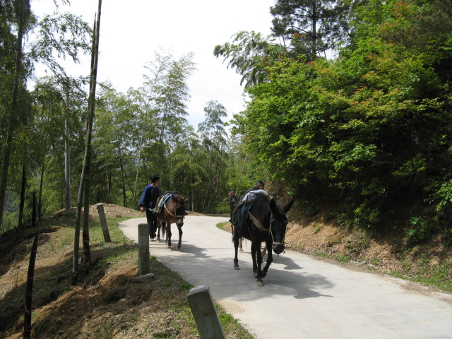 我驴我乐山水间