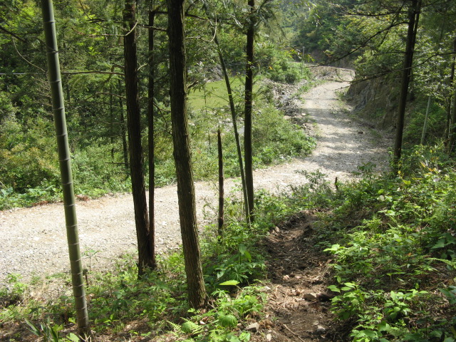 我驴我乐山水间