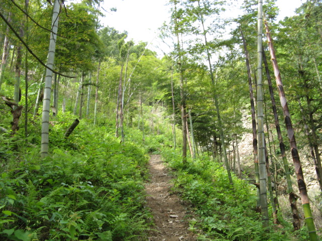 我驴我乐山水间