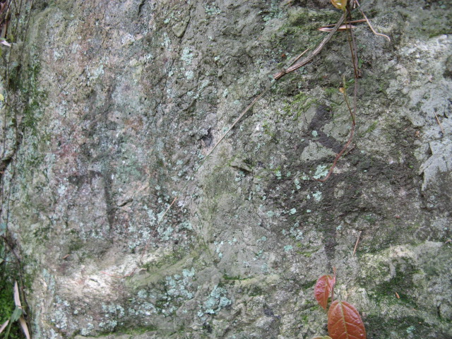 我驴我乐山水间