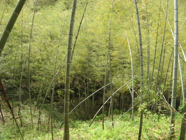 我驴我乐山水间