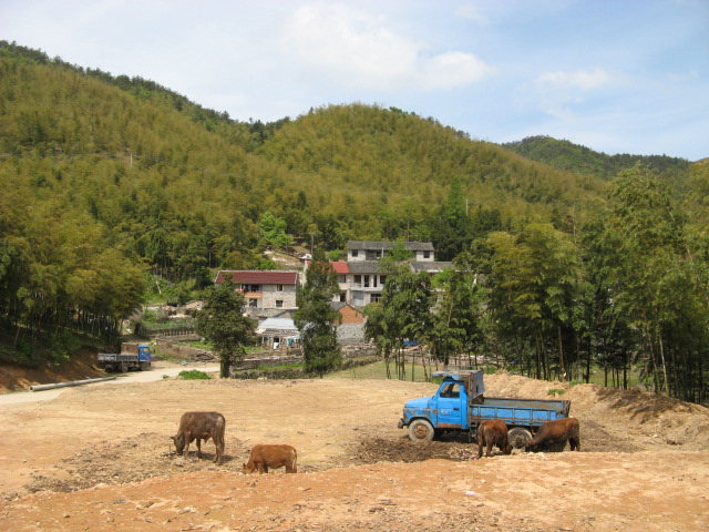 我驴我乐山水间
