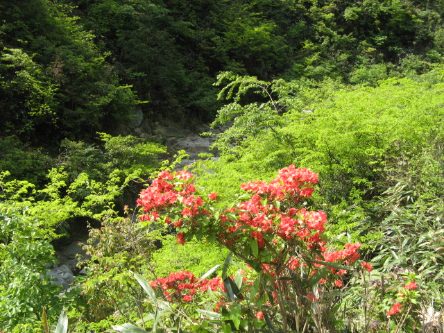我驴我乐山水间