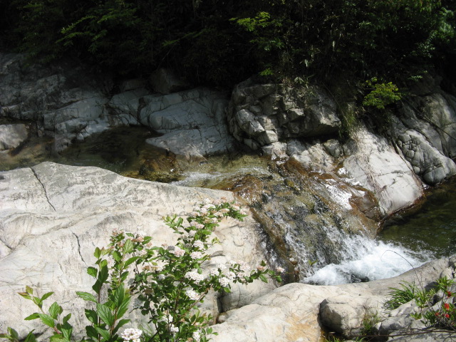 我驴我乐山水间