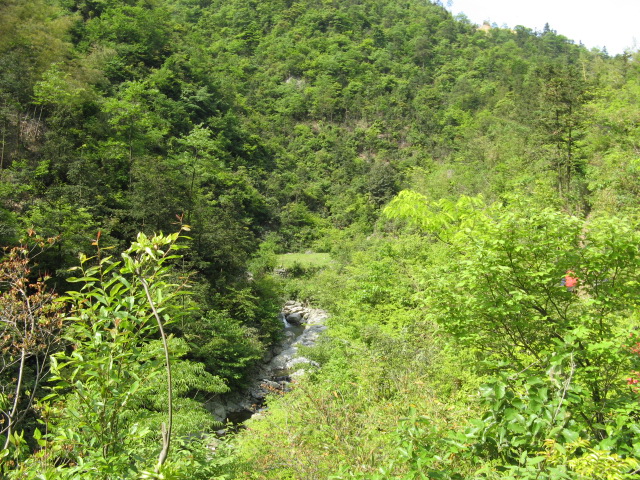 我驴我乐山水间