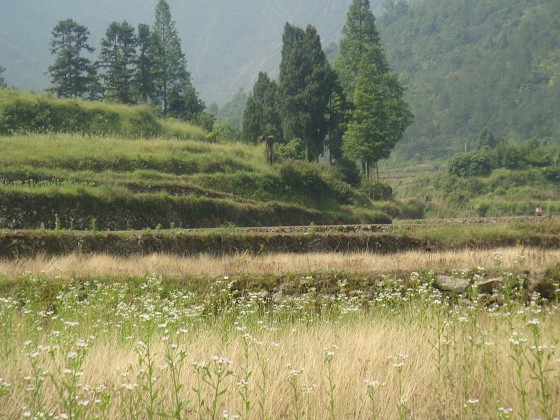 南山梯田美
