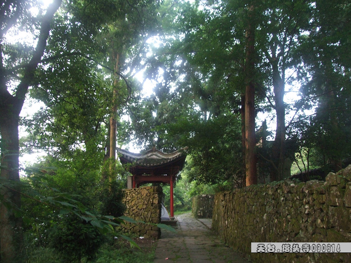 天台驴友俱乐部-乐清老狼户外联谊活动全记录.