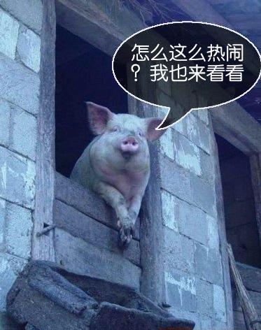 美女征婚广告有图片