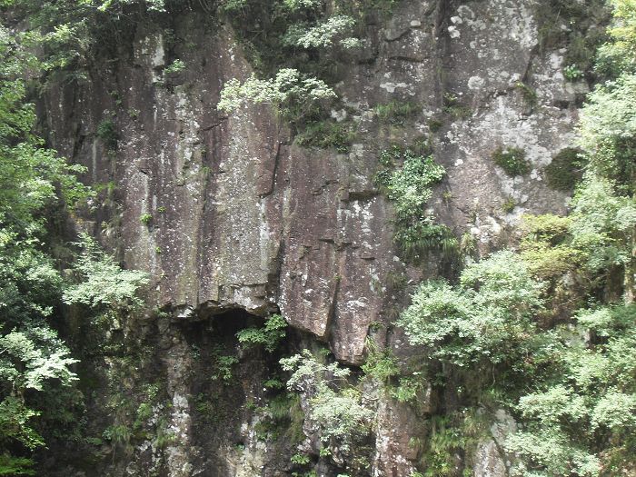 十八潭五人行记