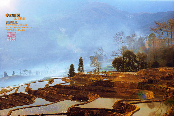 梦幻田园